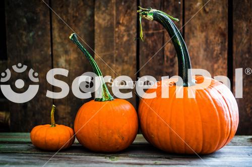 Colorful Pumpkins On Wooden Background